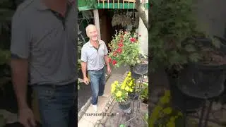 Сад на одной сотке земли