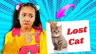 Ellie's Lost Cat Search at Home