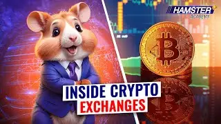 How Does a Crypto Exchange Work: A Beginner's Guide 🐹💡Hamster Academy