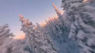 Мороз и солнце