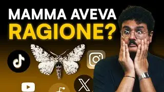A Moth May Explain Your Phone Addiction