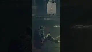 Казуалы хейтят  ELDEN RING Shadow of the Erdtree что с ними не так?