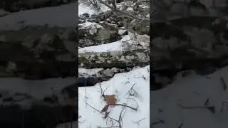 Геленджик 2024 . Спасибо Руслану М. за видео 😉👍