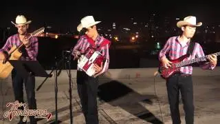 Los Amigueros de la Sierra - Los Consejos (En Vivo 2015)