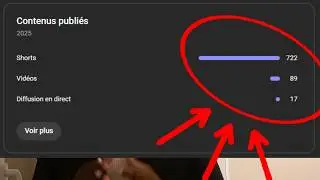 J'ai Publié 828 Vidéos en 2025...Voici Ce Qui Marche VRAIMENT sur YouTube !