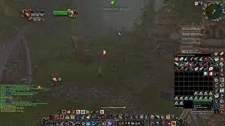 Tel'Abim PVP Turtle WOW - UD Hunter