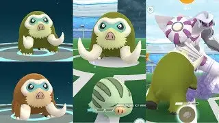 EVOLUTION MAMOSWINE SHINY & CATCH SWINUB FEBRUARY COMMUITY DAY