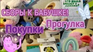 МИЛКА И БАСИК СОБИРАЮТСЯ К БАБУШКЕ! 