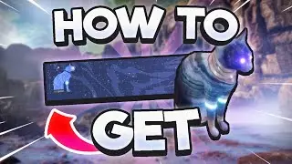 How to Get ENNEAD EMBLEM (All 9 Cat Locations) | Destiny 2