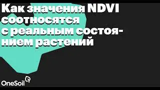 Как значения NDVI соотносятся с реальным состоянием растений