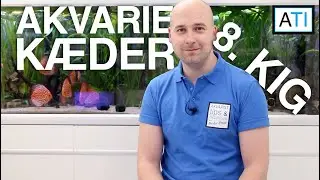 Akvarie kælder - 8. kig