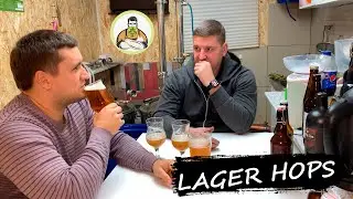 ПИВО ЛАГЕР комнатный на супер дрожжах, 4 хмеля и с сухим охмелением! Lager dry hops.