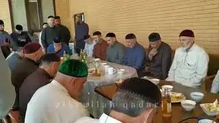 Хож-Ахьмад назма (Мол волчахь)