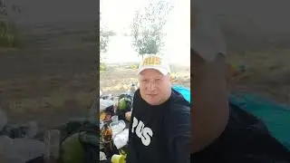 ШАШЛЫЧОК ПРИРОДА ДНЮХА МИХИ 