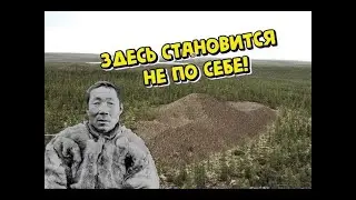 СИБИРСКАЯ 