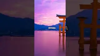 Что нужно знать про Японию? #shorts