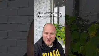 Как разговорить застенчивого человека?