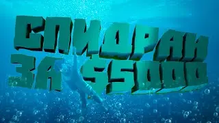 СПИДРАН ЗА $5000 — ALTF42