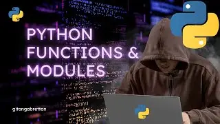 Python Functions and Modules 