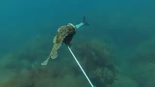 Начало сезона. Подводная охота.