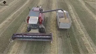 Wheat harvesting combine harvester KZS-1218 