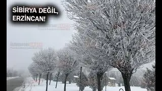 Erzincan Buz Tuttu!