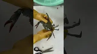 #viral