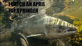The River Tay 2023 - Upper Farleyer 21/4/2023