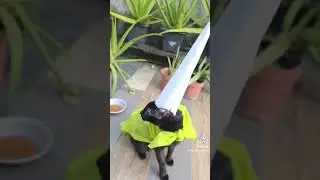 Что мне снимать?Подскажите пж