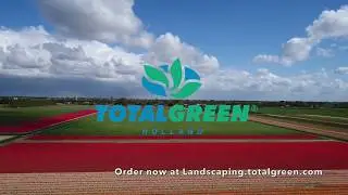 TotalGreen Holland - Fly over the flowerfields where our flower bulbs are harvested