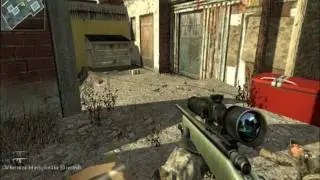 How to install Call Of Duty 4 Pezbots