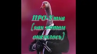 Когда тебе никто никогда не верил и ты выиграл катку, потеряв напарника.