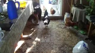 Собрание #3