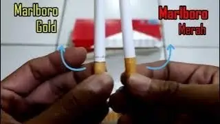 Selongsong Rokok kosong Marlboro