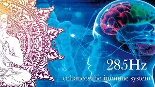 285 Hz Frequency | Enhance Immune System | Healing Frequency.