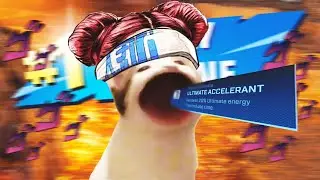 LIFELINE.EXE IN A NUTSHELL