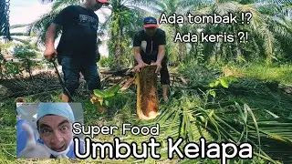 UMBUT KELAPA @ PONDOH | Coconut Heart