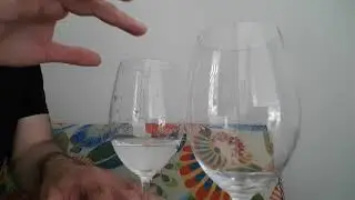 Wine Glass Resonance - Sound Waves!