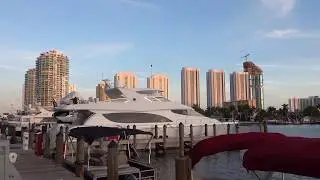 ГДЕ НОЧУЮТ ПТИЦЫ В МАЙАМИ .....