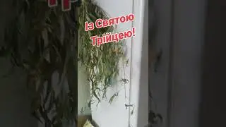 Із Святою Трійцею!