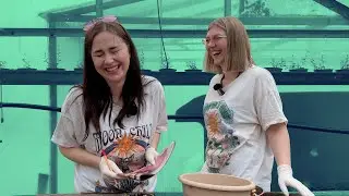 Pavasara loku stādīšana | zūd ticamības moments... EP.2