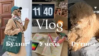 VLOG: Мой продуктивный день