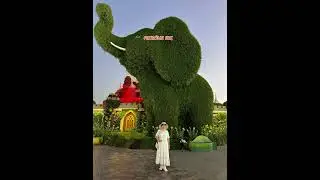 # Dubai #Miracle Garden