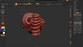Zbrush / First Steps