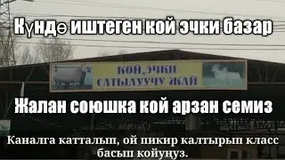 Күндө иштеген кой базар. Фархат. Союш таппай жүргөндөргө. 09.03.2021