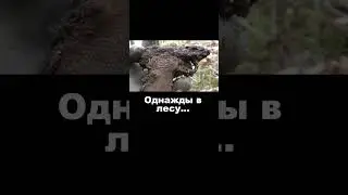 Что здесь было?!  