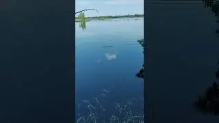 ВЕСЁЛАЯ РЫБАЛКА НА ЩУКУ#shorts