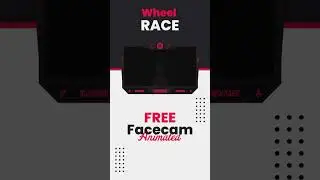 Facecam for Racing in Streaming