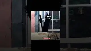 A  cat in love... #aesthetic #lofi #lofichill #fypシ