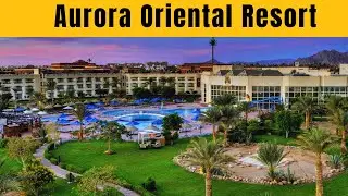 Aurora Oriental Resort Sharm El Sheikh Review – Luxury Rooms, Private Beach & Top Dining in Egypt